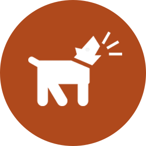 PetGentle image