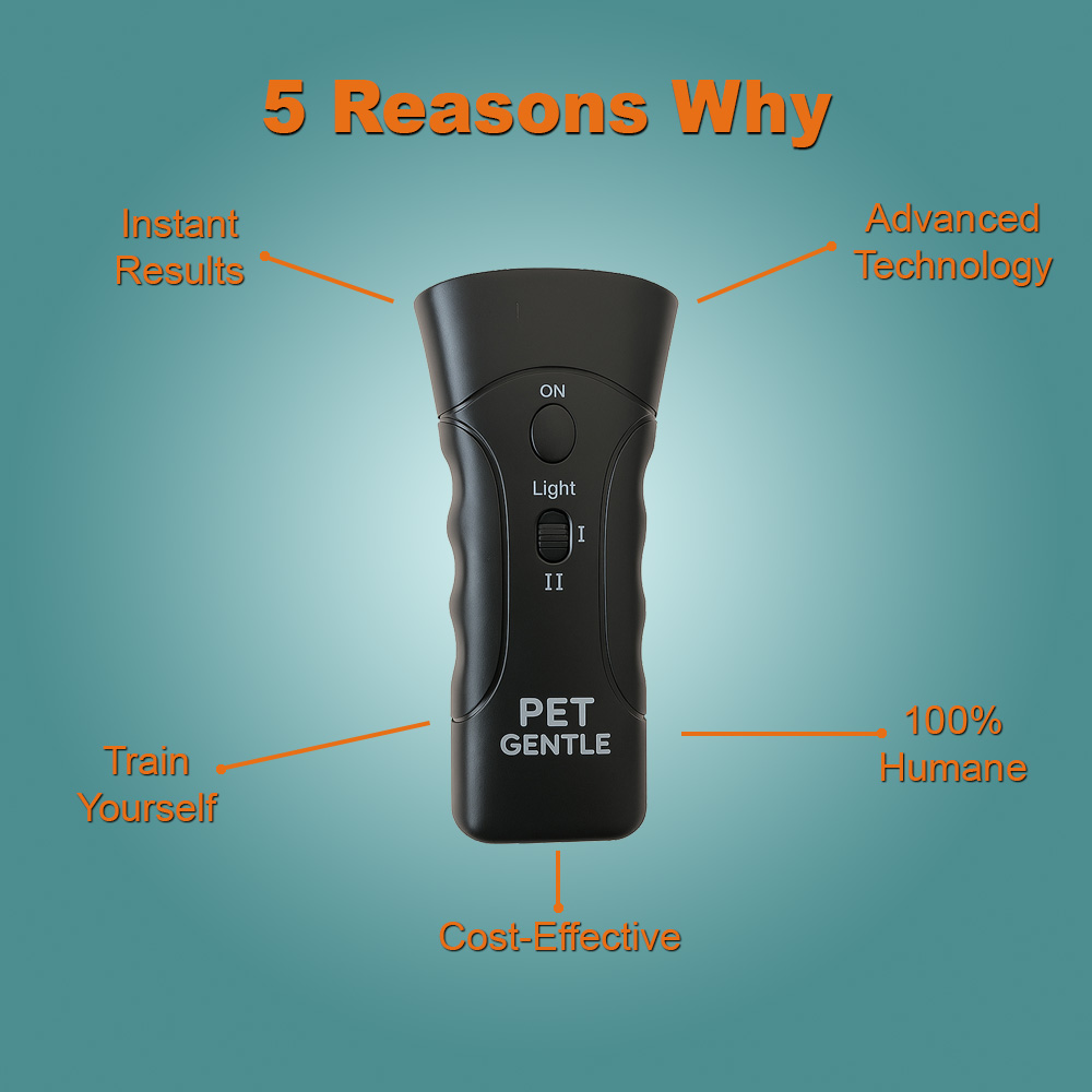PetGentle image