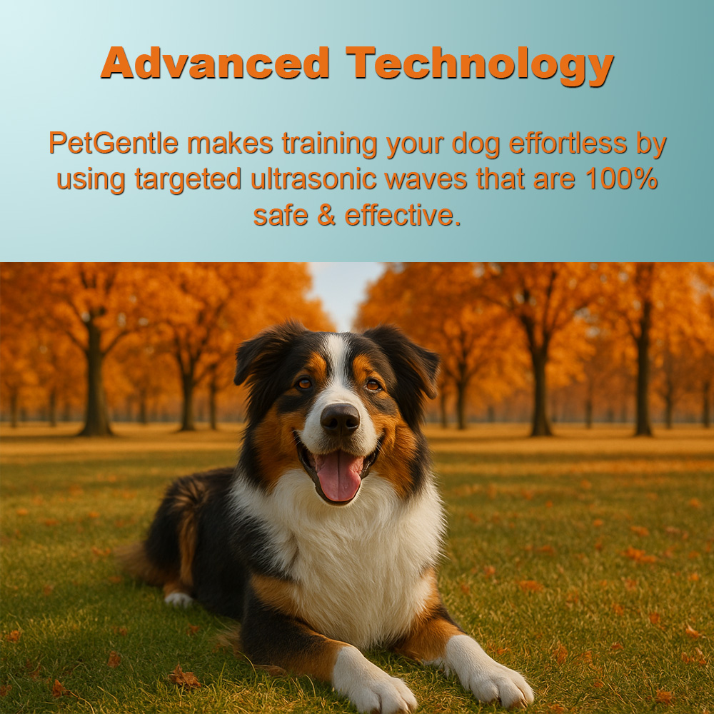 PetGentle image